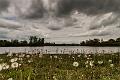 2017_04_17 (0015)